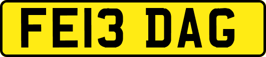 FE13DAG