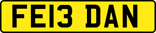FE13DAN