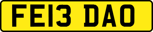 FE13DAO