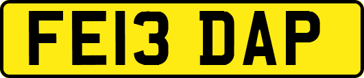FE13DAP
