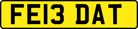 FE13DAT