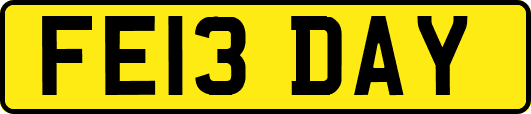 FE13DAY