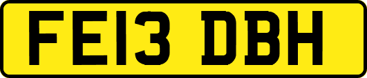 FE13DBH
