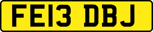FE13DBJ