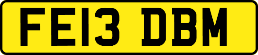 FE13DBM