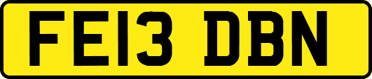 FE13DBN