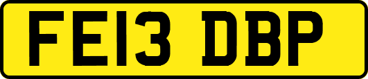 FE13DBP