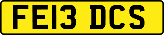 FE13DCS