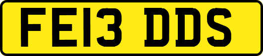 FE13DDS