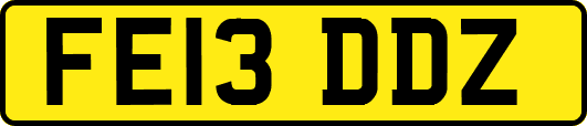 FE13DDZ