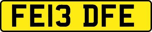FE13DFE