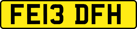 FE13DFH