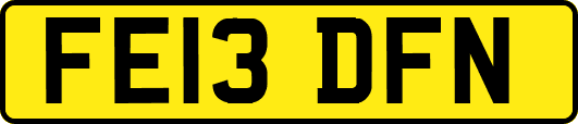 FE13DFN