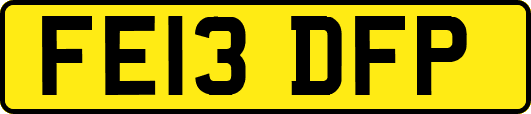 FE13DFP