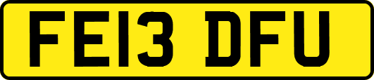 FE13DFU