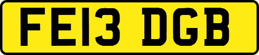 FE13DGB