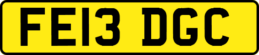 FE13DGC