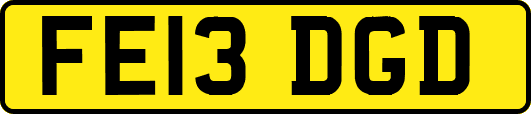 FE13DGD