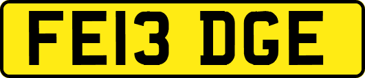 FE13DGE