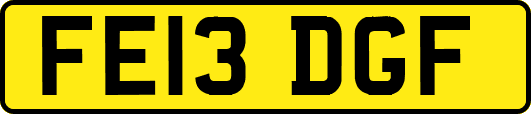FE13DGF
