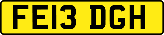 FE13DGH