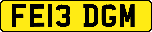 FE13DGM