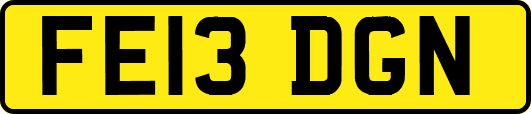 FE13DGN