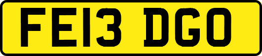 FE13DGO