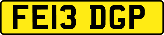 FE13DGP
