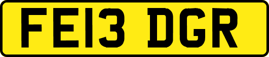 FE13DGR