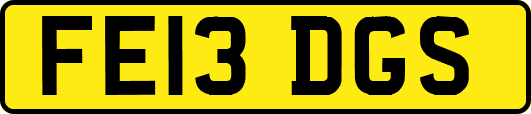 FE13DGS