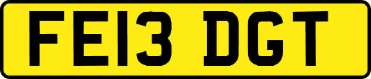 FE13DGT