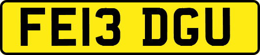 FE13DGU