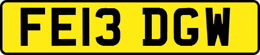 FE13DGW