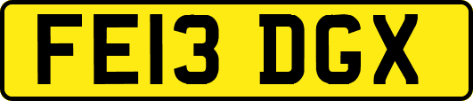 FE13DGX