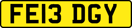 FE13DGY