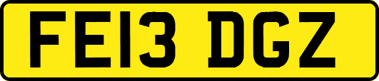 FE13DGZ