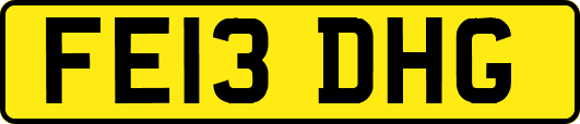 FE13DHG