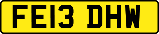 FE13DHW