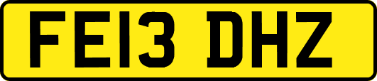 FE13DHZ