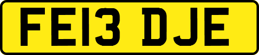 FE13DJE