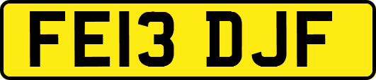 FE13DJF