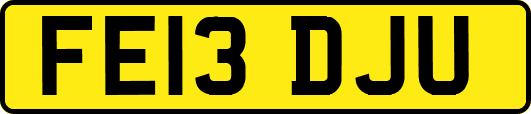 FE13DJU
