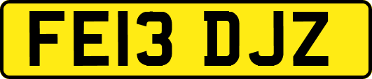 FE13DJZ