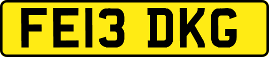 FE13DKG