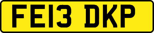 FE13DKP