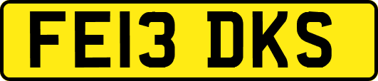 FE13DKS