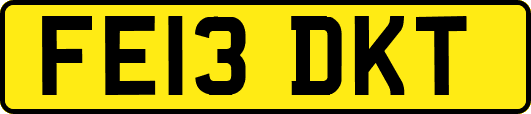 FE13DKT