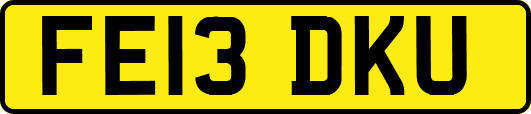 FE13DKU