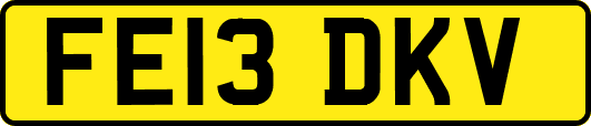 FE13DKV